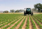 agriculture business ideas in Nigeria