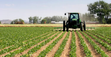 agriculture business ideas in Nigeria