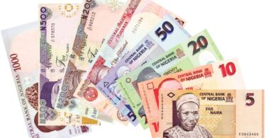 Nigeria naira notes