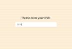 Bank Verification Number (BVN)